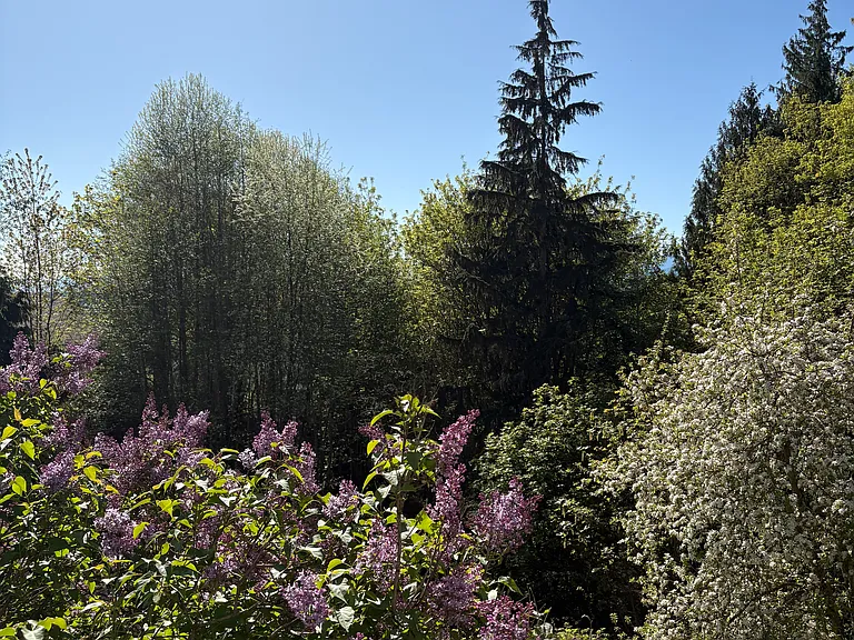 view from main floor deck