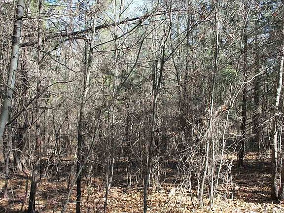 5th image of 231 Grayson Valley Dr
