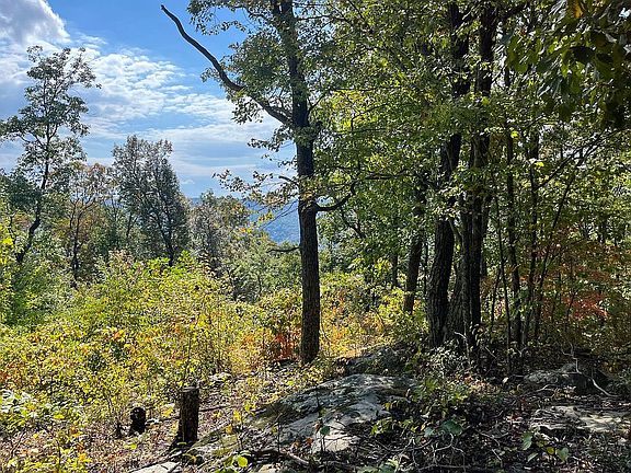 2nd image of Coal Bank Rd Lot 39