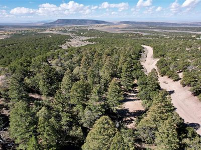 7189 Alligood Road, Fort Garland, CO, 81133