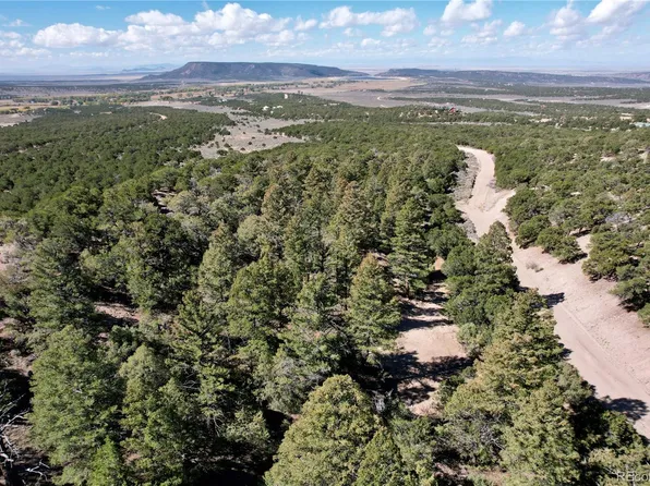 7189 Alligood Road, Fort Garland, CO 81133