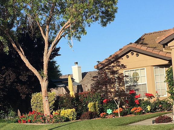 2nd image of 1377 Orme Ct