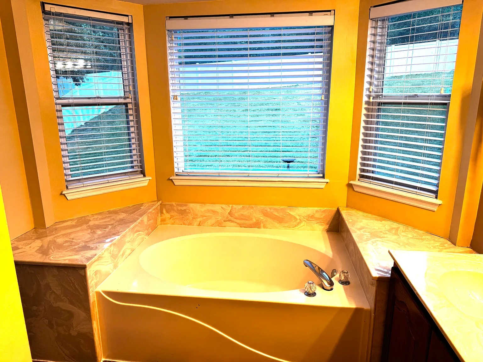 3 bed, 2.5 bath, 2527 sqft, $2,450 — Photo 3