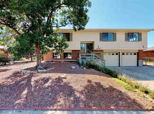 1345 Leeds Ave, Montrose, CO 81401