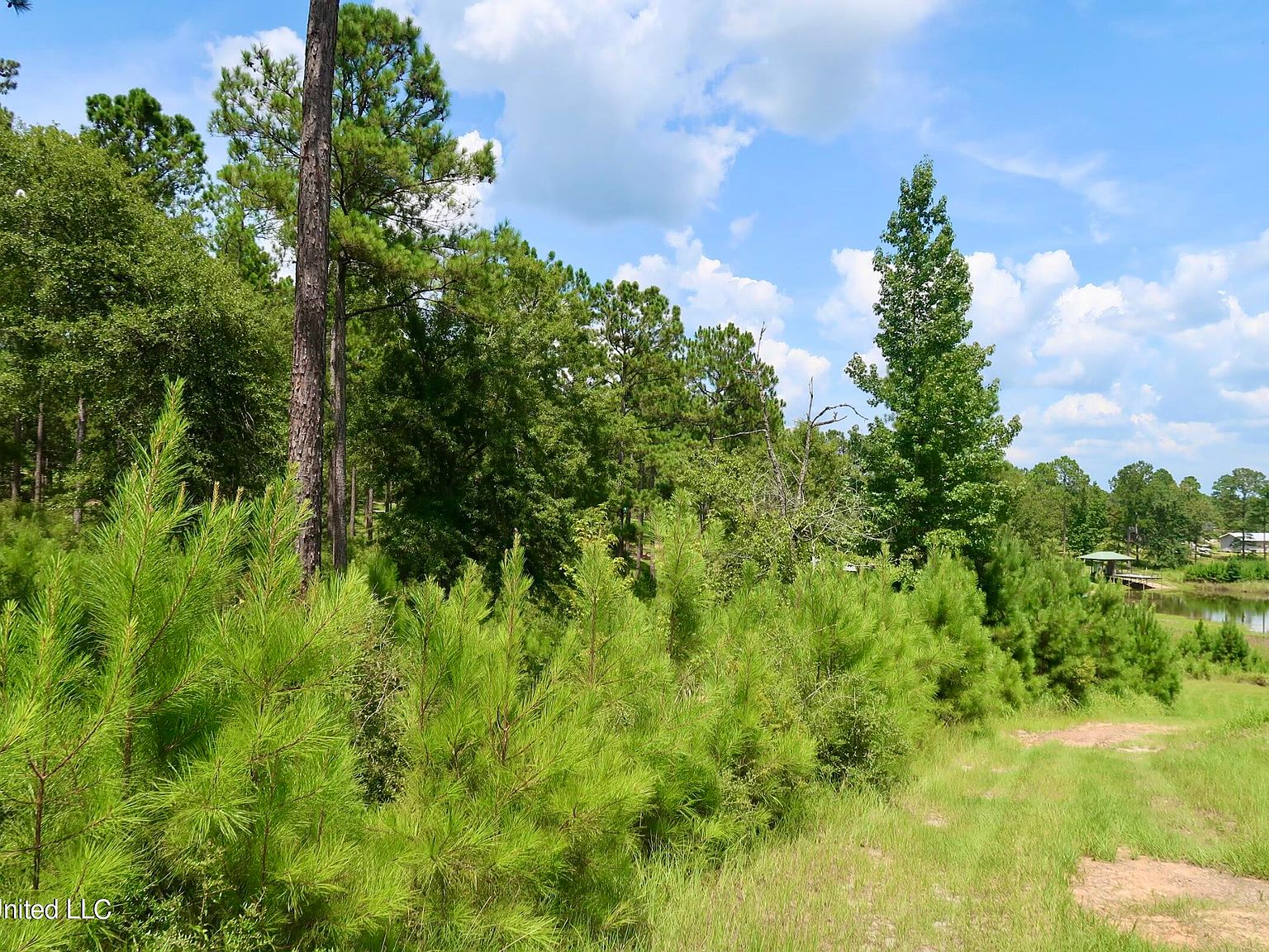 16/AC Burnt Pine Rd, Leakesville, MS 39451 | MLS #4083136 | Zillow