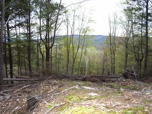 Mosquito Schoolhouse Road, Newport, NH 03773