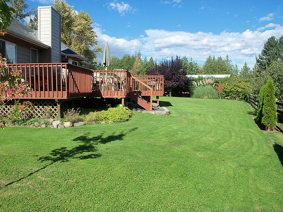 Back yard
