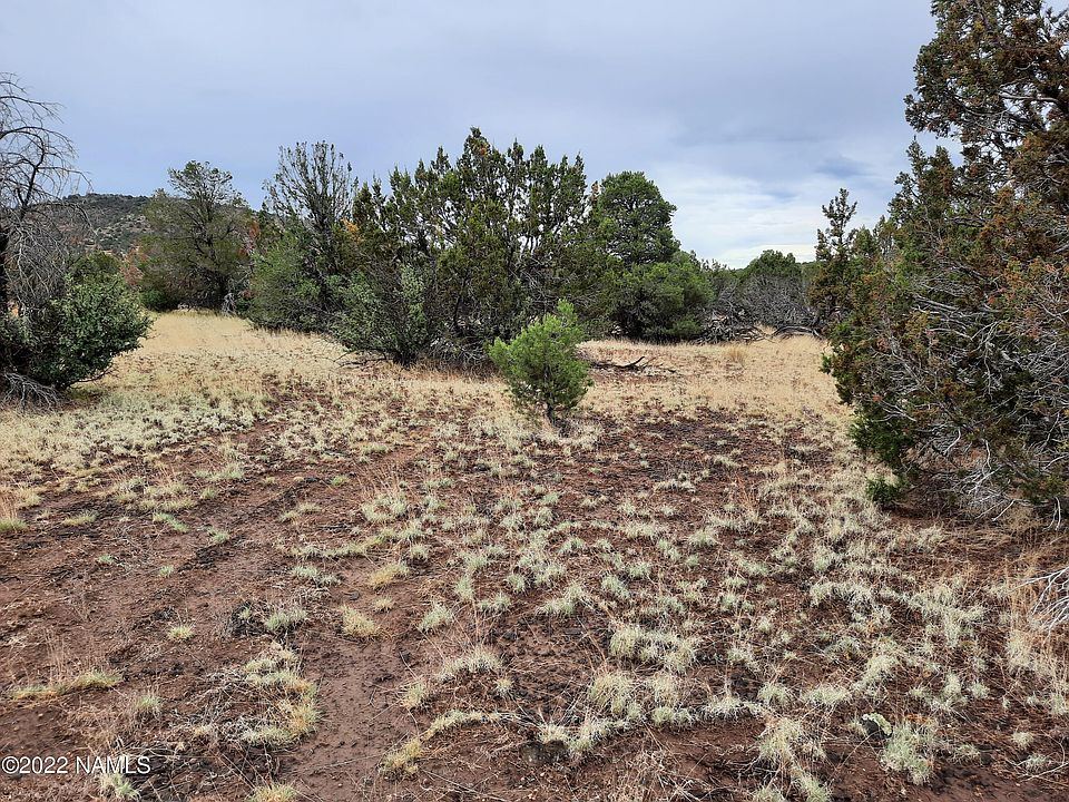 1st image of 1374 E Antler Ln #527