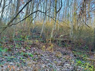 LOT Manis Hollow Rd, Gatlinburg, TN 37738