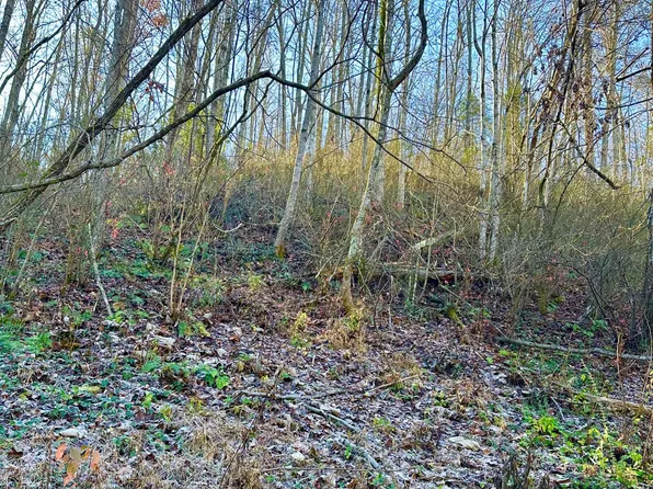 LOT Manis Hollow Rd, Gatlinburg, TN 37738