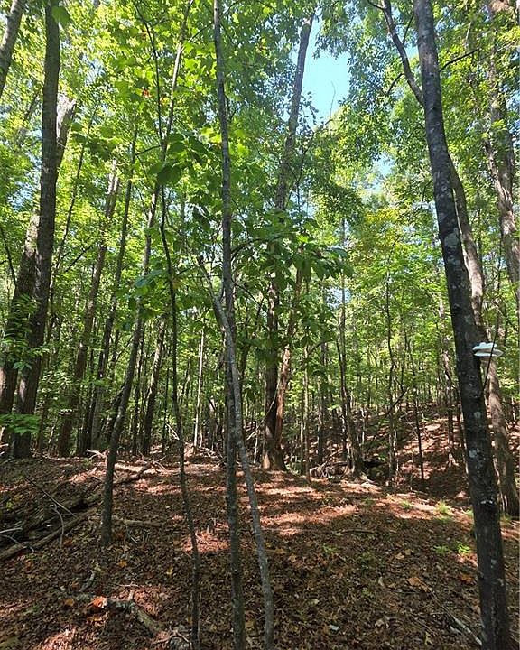 1st image of 0 Browntown Rd Lot 134