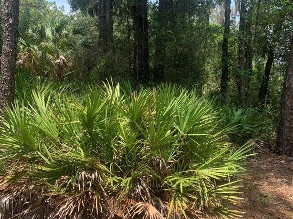 0 SW 137th St, Waldo, FL 34231