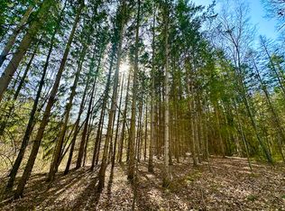 Buckhorn Lake Rd LOT WP001, Holly, MI 48442