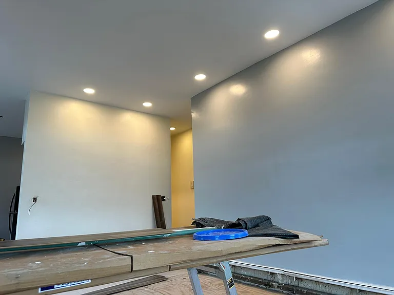Recently rehabbed