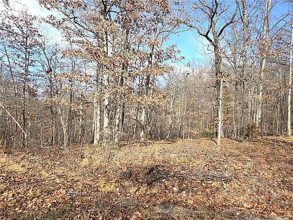 5th image of Silverton Ln #9