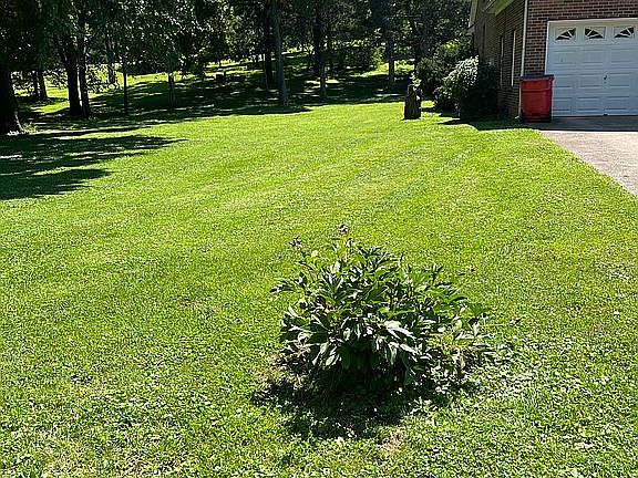 2nd image of 1202 Discher Dr