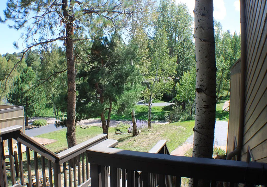 3 bed, 2045 sqft, $3,695 — Photo 3