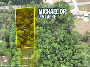 Vacant Michael Dr, Milton, FL 32583