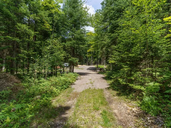 2978 Glamorgan Rd, Highlands East, ON K0M 1S0