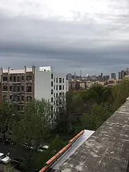 Rented by Bold New York