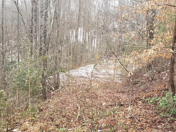 33 Nighthawk Dr, Sylva, NC 28779