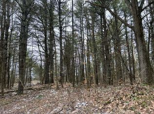 13 Whitaker Rd, Hammond, NY 13646