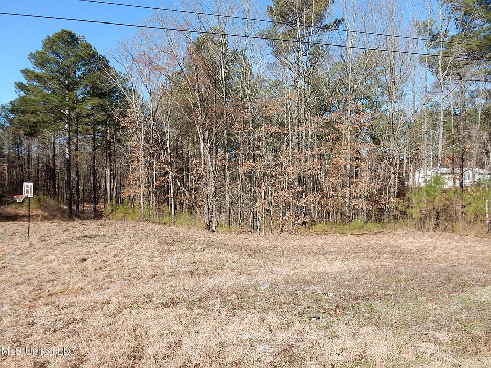2nd image of 31 Timber Creek Rd