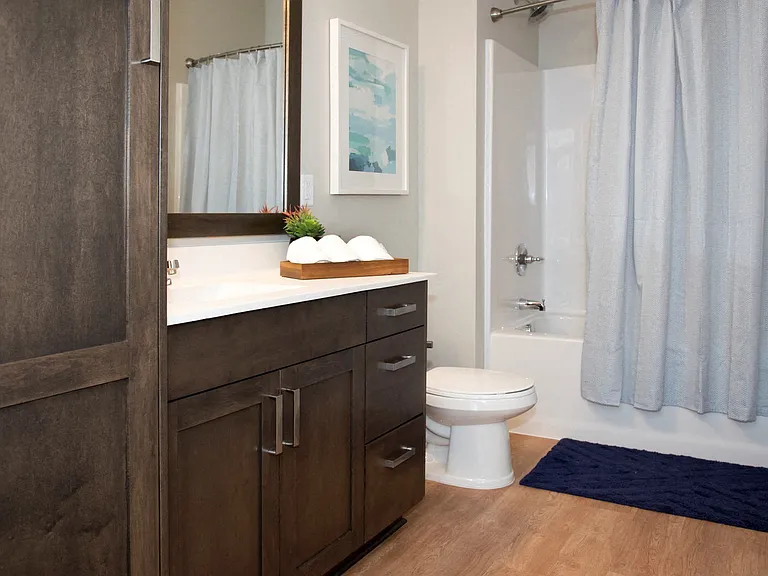 1 Bedroom Model Apartment Home