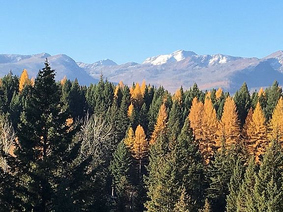 Mission Mts. From Property