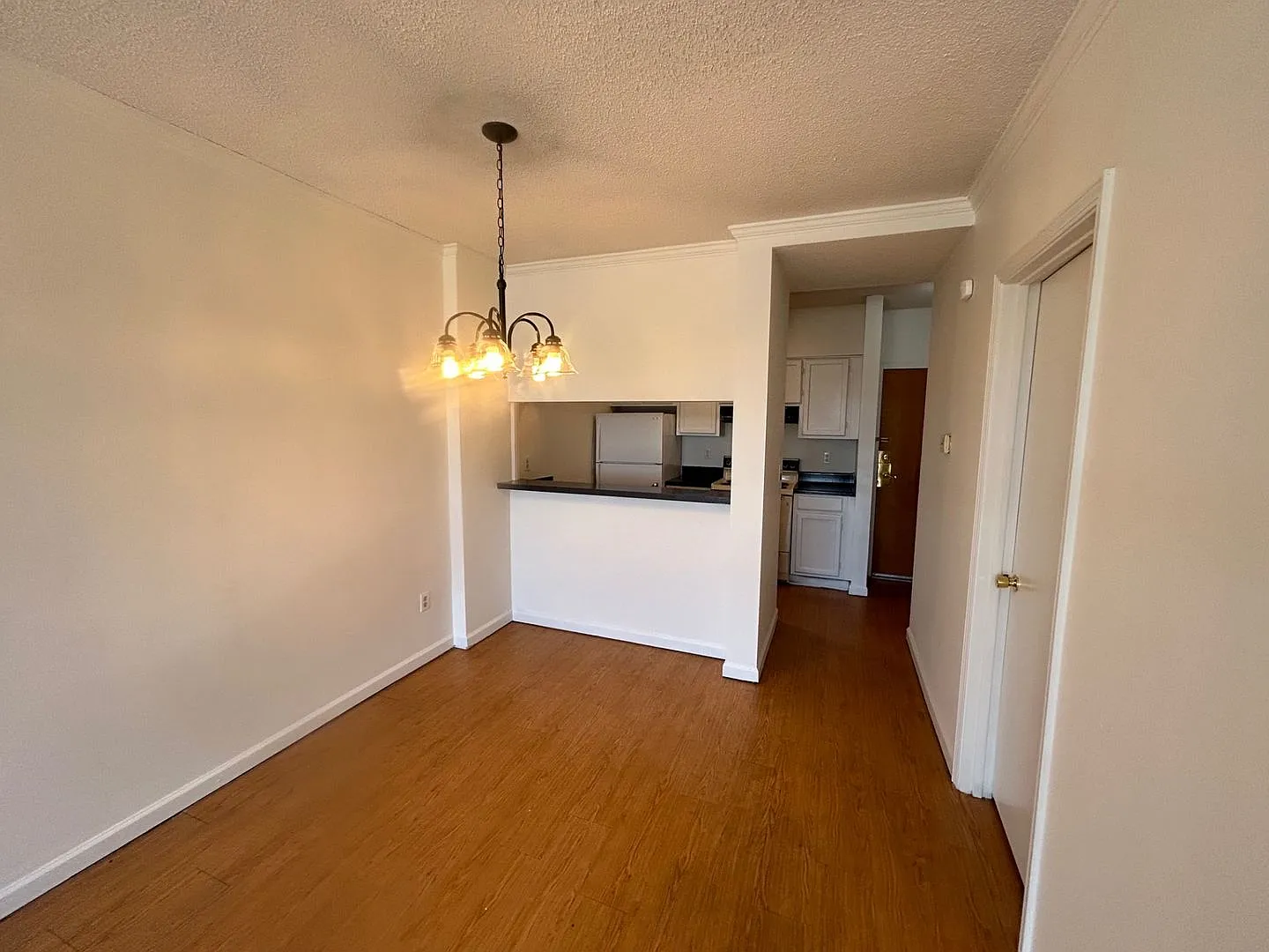 2 Bedroom 1 Bath Apartment/Plaza Center - Five Points! — Photo 3