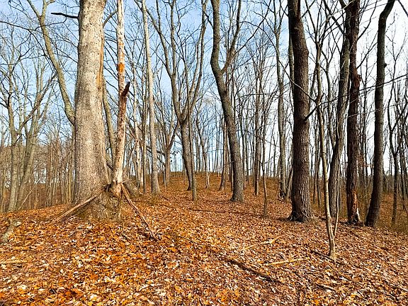 2nd image of 0 Buck Hollow Rd