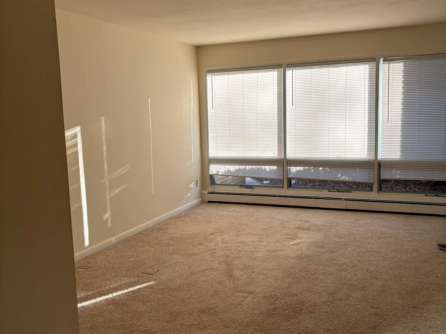 2 bed, 875 sqft, $1,925 — Photo 3