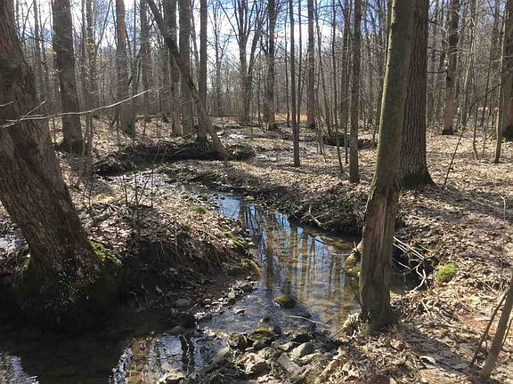2nd image of 49.36 Ac Owen Ave