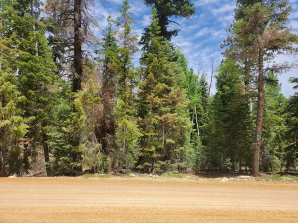 1075 E Bonanza Rd, Duck Creek Village, UT 84762