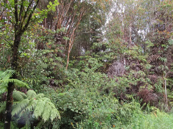 Road 6 Lot 370, Volcano, HI 96785