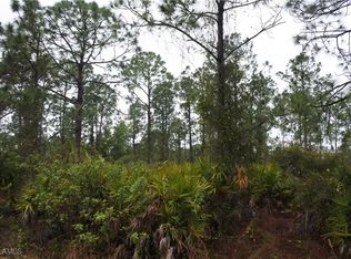 811 State Ave, Lehigh Acres, FL 33972