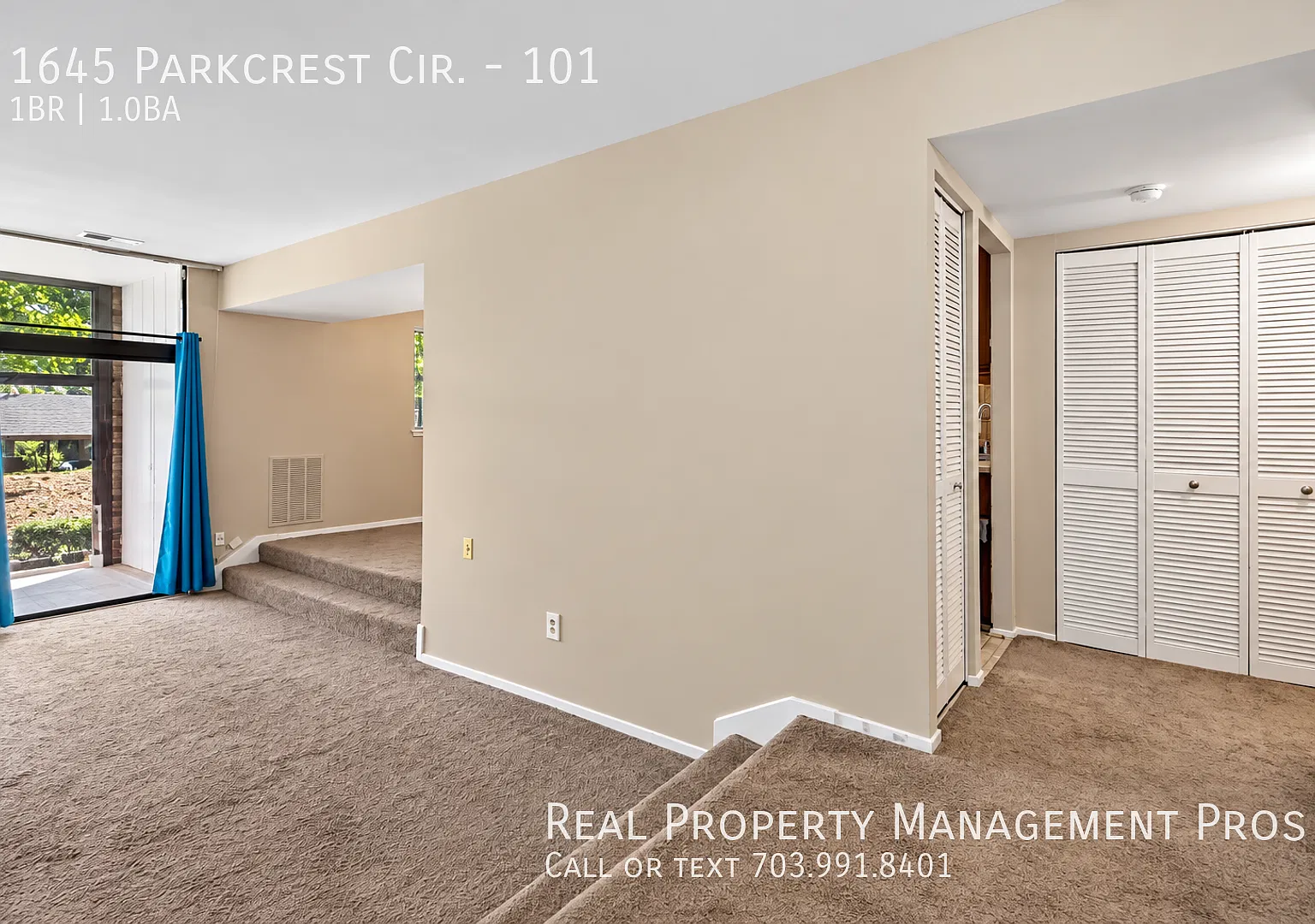 Rare 1st Level Unit With Utilities for Rent In the Heart of Reston! — Photo 3