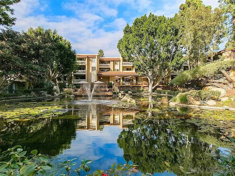 Large lagoon with fountain, koi, and frequent large bird visitors