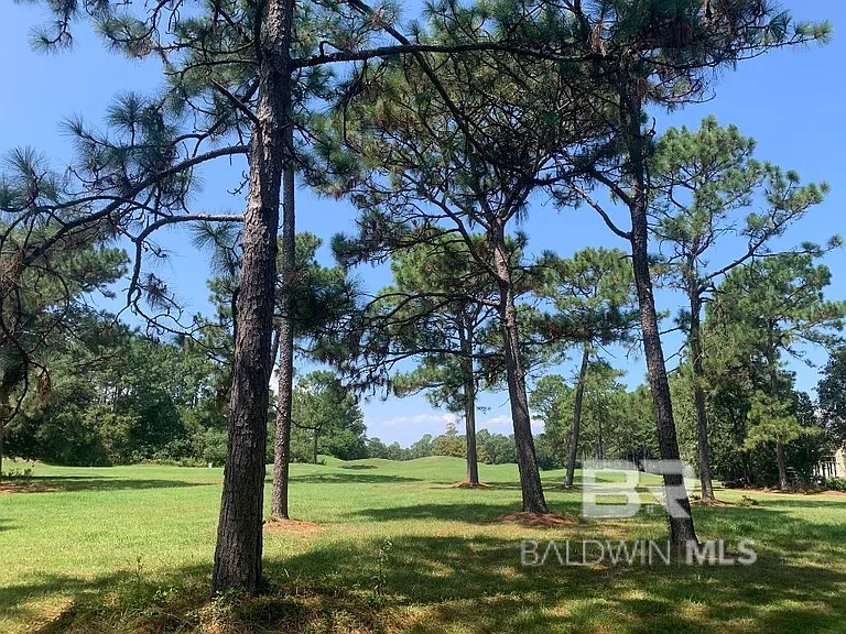 30793 Pine Ct — Photo 5