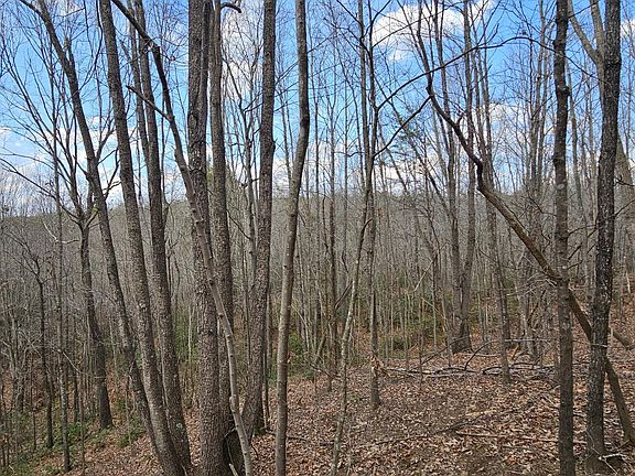 4th image of LOT 10/12 Easome Rd