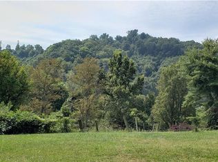 Mingus Hill Rd, Canton, NC 28716