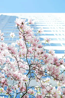 Sold by Corcoran | media 23