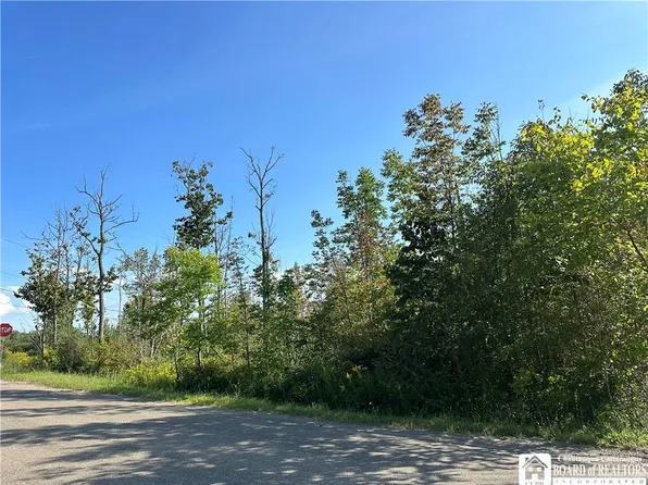 0 Domes Rd #10, East Concord, NY 14055