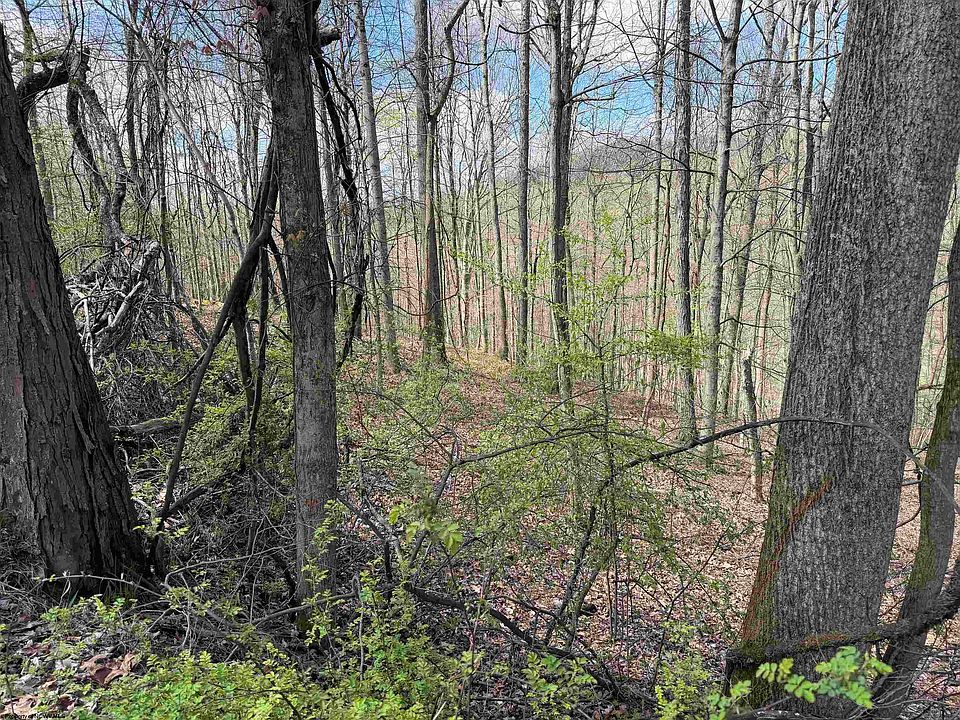 1st image of Behlar Rd