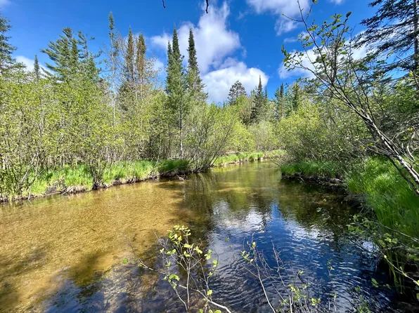 3028 Palmer Pl, Grayling, MI 49738