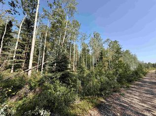L1 Bb Schlecht Drive Block B Clearwater Dr LOT 1, Delta Junction, AK 99737