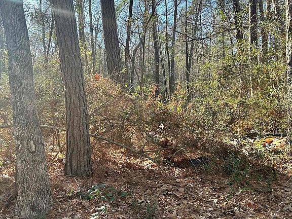 3rd image of County Road 3194 S