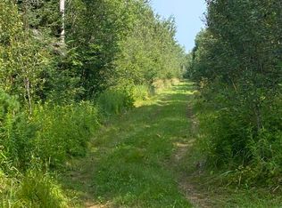 0 Pheiffer Rd, Rudyard, MI 49780