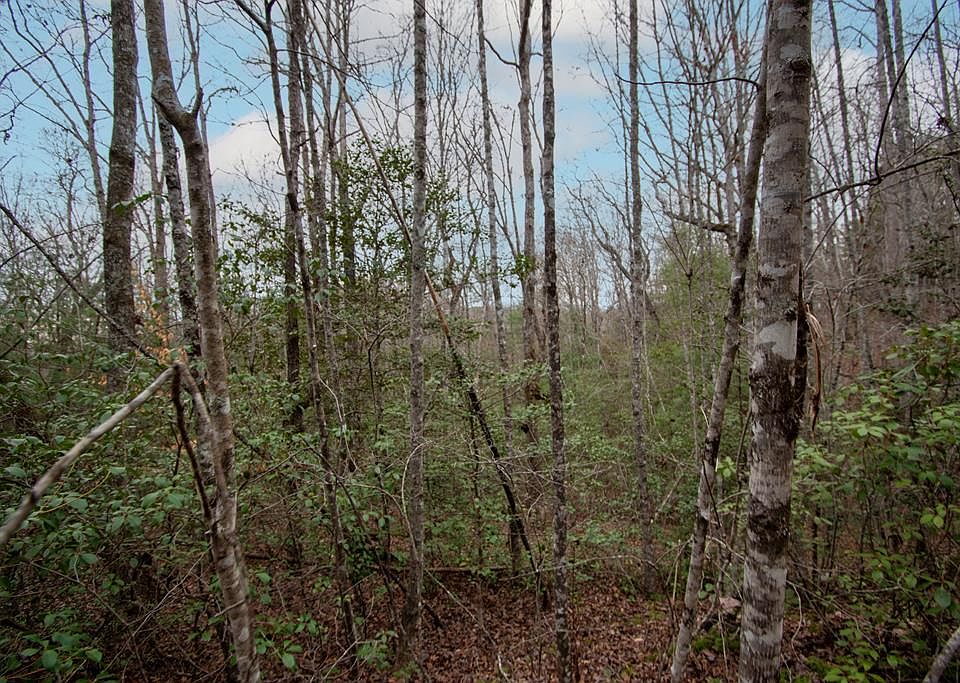 1st image of LOT 6 Posey Pl