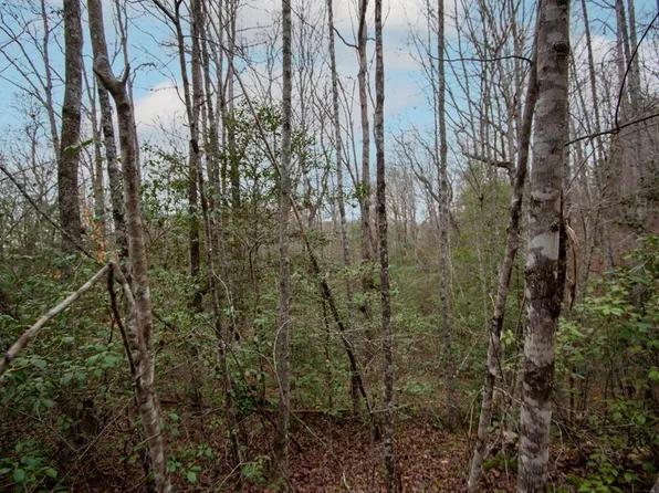 LOT 6 Posey Pl, Murphy, NC 28906